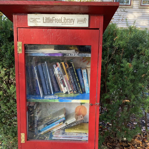 Eine kleine rote Bücherschrank steht vor einem Haus, umgeben von Grün, mit ordentlich aufgereihten Büchern auf seinen Regalen.