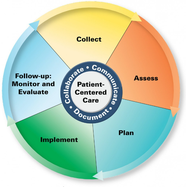 Kreisförmiges Diagramm mit der Bezeichnung "patientenorientierte Pflege" und vier farbigen Abschnitten, jeweils mit einer spezifischen Pflegebeschreibung, auf einem weißen Hintergrund.