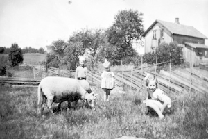 Drei Kinder spielen mit einem Schaf in einem eingezäunten Feld mit Bäumen und einem Haus im Hintergrund bei klarem Himmel.