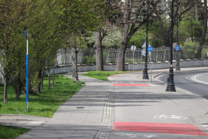 Stadtstraße mit einem ausgewiesenen Radweg, gesäumt von Bäumen, Strommasten, Schildern, Gras, Pflanzen und einem Zaun, führend zu Gebäuden unter einem klaren blauen Himmel.