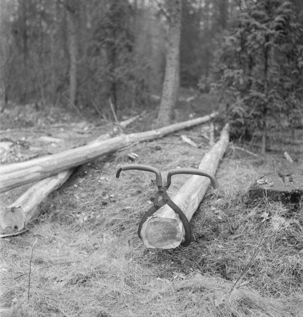 Schwarzes und weißes Foto einer Sägemühle im Wald mit Holzstämmen auf dem Boden und Bäumen im Hintergrund.