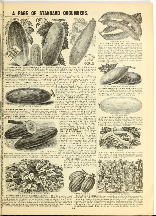 Ein aufgeschlagenes Buch mit Bildern und Text über verschiedene Gemüse, darunter Gurken, mit echten Gemüsen darauf.