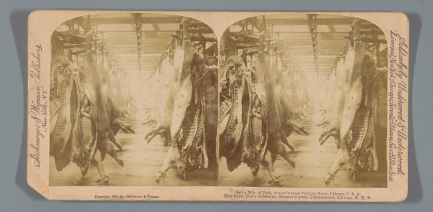 Ein Schwarz-Weiß-Foto einer Gruppe von Tieren, die von der Decke eines Schlachthofs hängen, mit Text auf einem Blatt Papier vor ihnen.