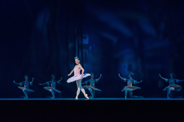 Eine Balletttänzerin in einem pinken Tutu und Spitzenschuhen performs auf einer Bühne mit anderen Tänzern in passenden Kostümen, vor einem dunklen Hintergrund.