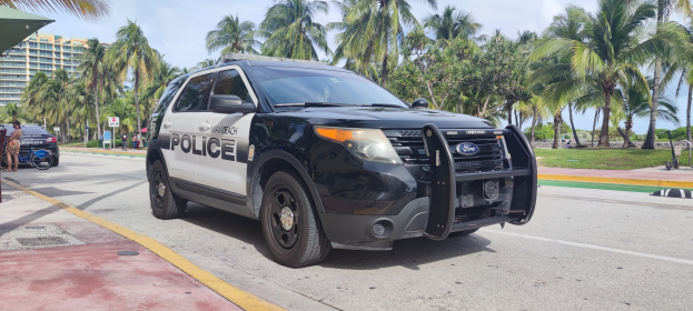 Polizeiauto am Straßenrand geparkt mit Menschen, Fahrrädern, Gras, Bäumen, Gebäuden und einem klaren blauen Himmel im Hintergrund.