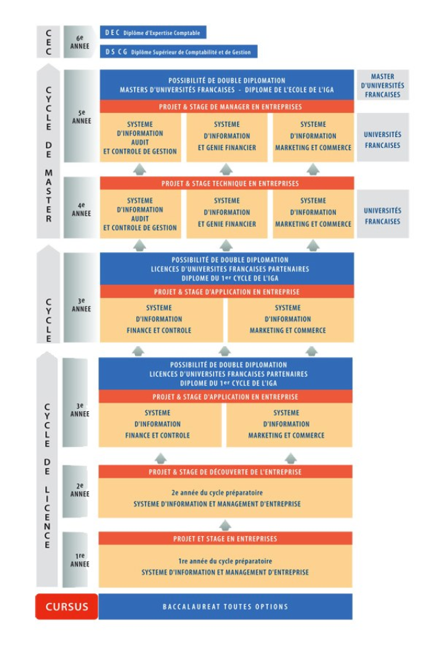 Diagramm, das die organisatorische Struktur eines Unternehmens mit interconnected boxes darstellt, die die Phasen des Unternehmenswachstums und der Entwicklung darstellen, begleitet von beschreibendem Text.