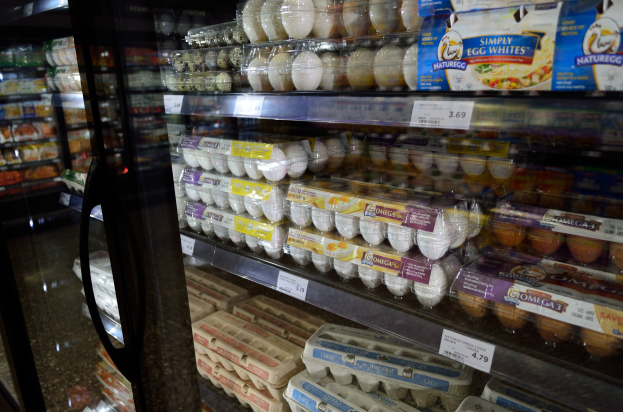 Ein Supermarktkühlschrank mit ordentlich angeordneten Eiern mit Preisschildern im Vordergrund, mit einem leicht unscharfen Hintergrund.