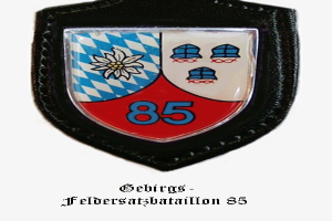 Ein Abzeichen mit der Nummer 85 und deutscher Beschriftung unten, das das Logo der bayerischen Fußballmannschaft darstellt.