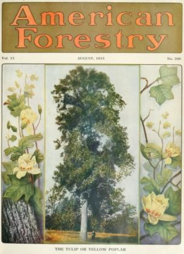 Titelbild des *American Forestry Magazine* aus August 1915 mit bunten Illustrationen von Bäumen und Blumen.