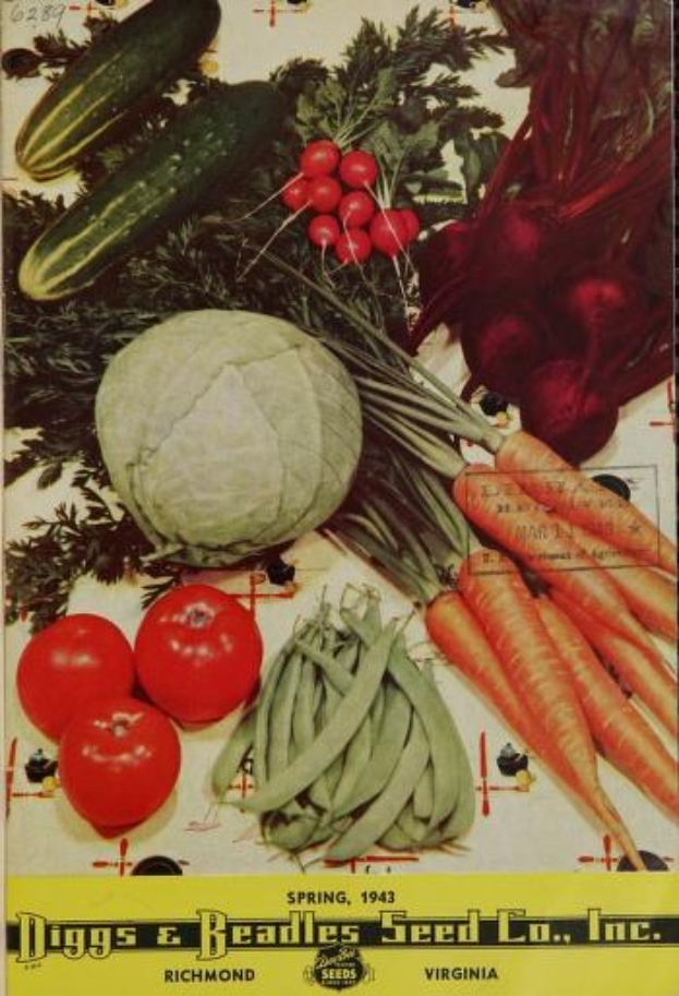 Ein Plakat mit einem bunten Display aus Karotten, Tomaten, Gurken, Rote Bete und grünen Bohnen mit dem Text "Dogs & Beadles Seed Co, Inc." oben drauf.