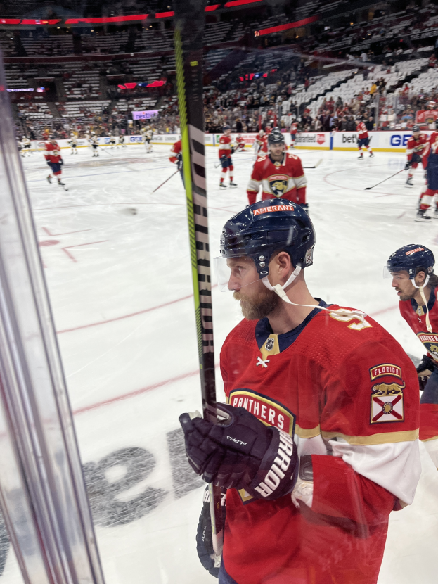 Eine Gruppe von Eishockeyspielern in Helmen und Handschuhen, die Stöcke halten, steht auf dem Eis vor einer Glaswand. Im Hintergrund sind Zuschauerränge und Tafeln mit "Florida Panthers vs New Jersey Devils - 3/24/15 NHL Pick, Odds, and Prediction" zu sehen.