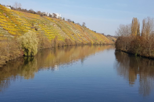 Ein Fluss fließt durch ein grünes Feld neben einem Hügel mit Bäumen und Pflanzen, Weinbaudächer sind im Hintergrund unter einem klaren blauen Himmel zu sehen.