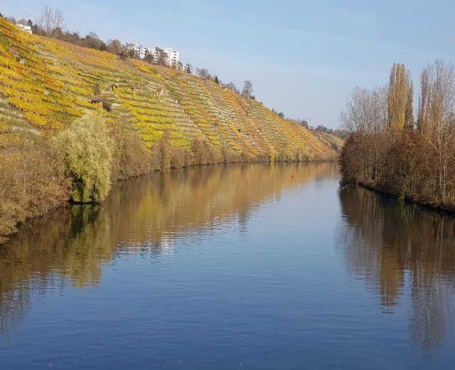 Ein Fluss fließt durch ein grünes Feld neben einem Hügel mit Bäumen und Pflanzen, Weinbaudächer sind im Hintergrund unter einem klaren blauen Himmel zu sehen.