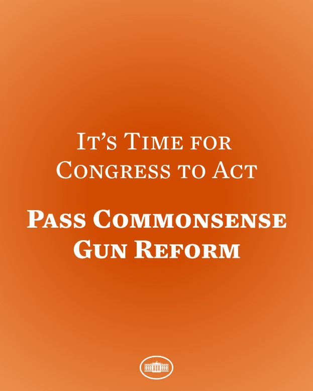 Plakat mit fettem schwarzem Text "Es ist an der Zeit, dass der Kongress handelt, Commonsense-Waffengesetz zu verabschieden" auf einem orangen Hintergrund.